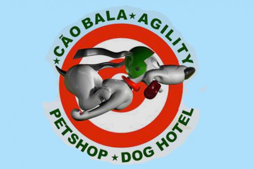 Cão Bala Agility