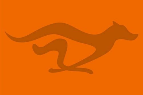 Motivadog – Adestramento – Esportes – Comportamento