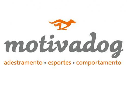 Motivadog – Adestramento – Esportes – Comportamento