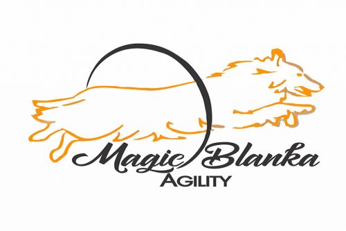 Magic Blanka Agility