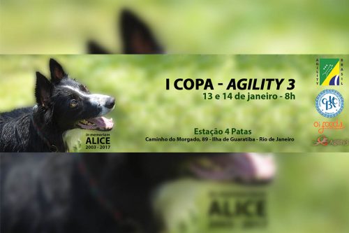 1ª e 2ª Etapas – I Copa Agility3 – Guaratiba – RJ – 13 e 14/01/2018