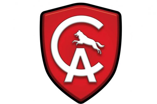 Cão Atleta