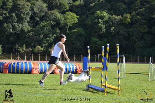 Encerradas as disputas do XIX Campeonato Brasileiro de Agility da Temporada 2017/2018