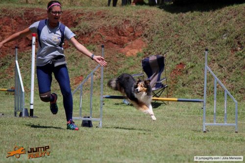 Encerradas as disputas do XIX Campeonato Brasileiro de Agility da Temporada 2017/2018