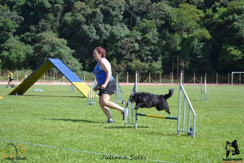 Encerradas as disputas do XIX Campeonato Brasileiro de Agility da Temporada 2017/2018