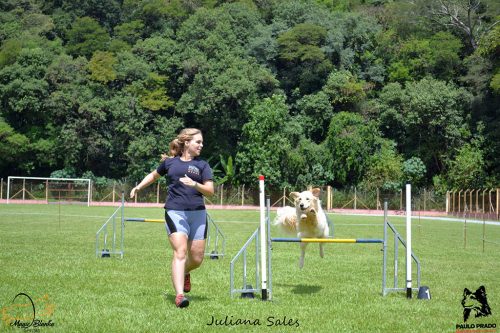 Encerradas as disputas do XIX Campeonato Brasileiro de Agility da Temporada 2017/2018