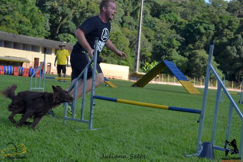 Encerradas as disputas do XIX Campeonato Brasileiro de Agility da Temporada 2017/2018