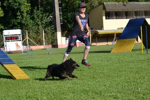 Encerradas as disputas do XIX Campeonato Brasileiro de Agility da Temporada 2017/2018