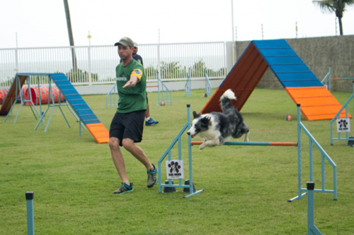 Encerradas as disputas do XIX Campeonato Brasileiro de Agility da Temporada 2017/2018