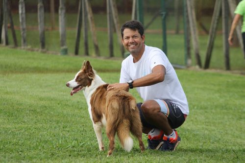 Encerradas as disputas do XIX Campeonato Brasileiro de Agility da Temporada 2017/2018