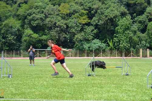 Encerradas as disputas do XIX Campeonato Brasileiro de Agility da Temporada 2017/2018