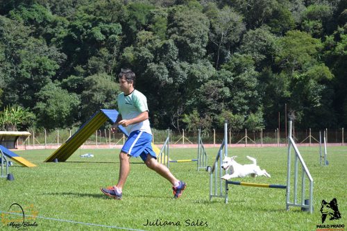 Encerradas as disputas do XIX Campeonato Brasileiro de Agility da Temporada 2017/2018