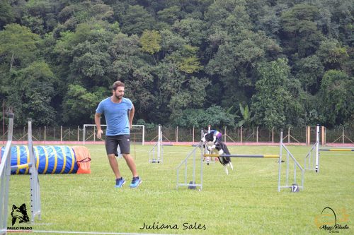 Encerradas as disputas do XIX Campeonato Brasileiro de Agility da Temporada 2017/2018