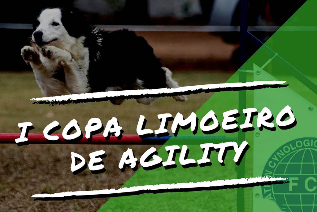 I Copa Limoeiro de Agility – PE – 02/09/2018