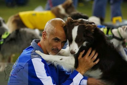 Nota de Falecimento da Border Collie Vicky