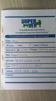 Pagu