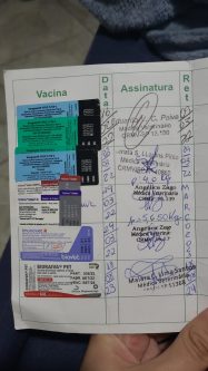 Billie Bailey Cannabis