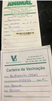 Bartholomeu Bonifácio