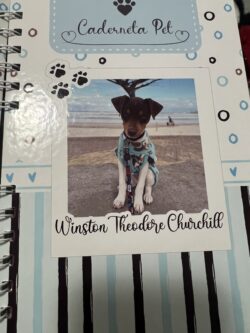 Winston Theodore Churchill