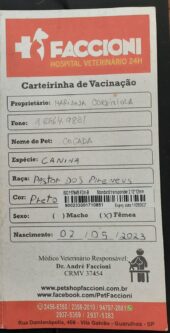Cocada