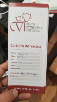Brisa