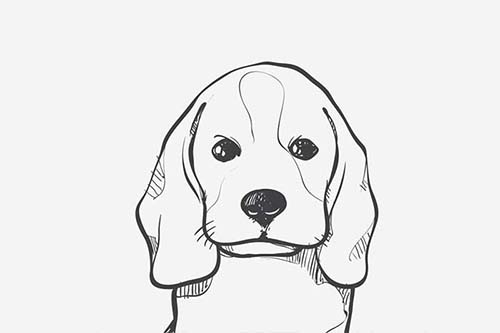 Nala