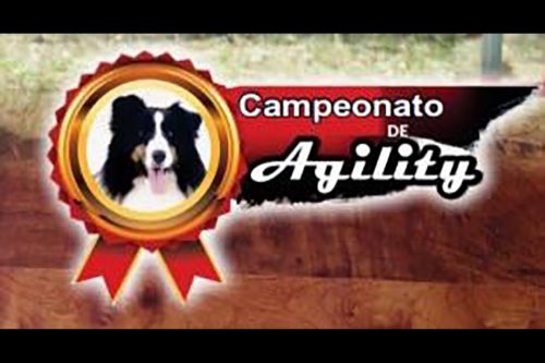 3ª e 4ª Etapas – IV Campeonato Paraibano de Agility – 24 e 25/02/2018