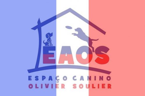 EAOS Escola de Adestramento – Olivier Soulier