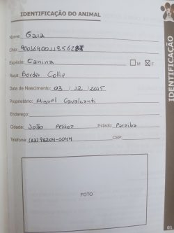 Gaia
