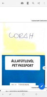 Corah