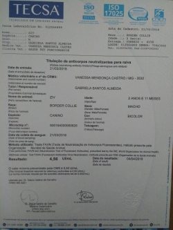 Ziv
