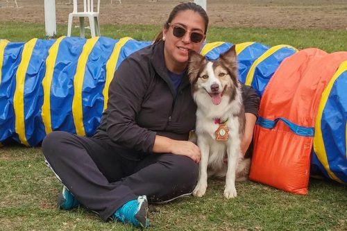 Encerradas as disputas do XIX Campeonato Brasileiro de Agility da Temporada 2017/2018