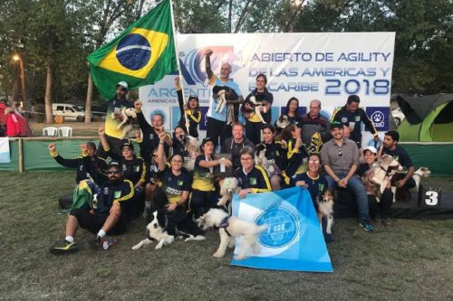 Delegação Brasileira no AyC 2018 – AyC 2019 no Brasil