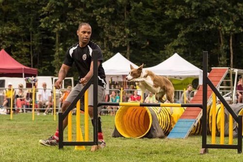 Participação no European Open Agility 2018 – Vienna – Áustria