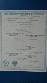 Pri