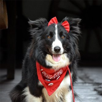 Coca