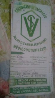 Dindi