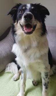 Lennon