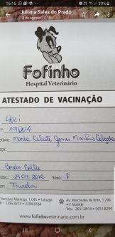 Holi