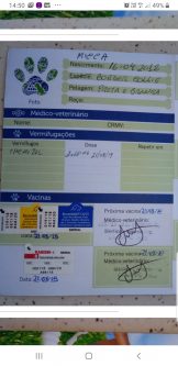 Micca