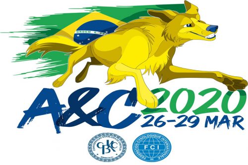 Regras para Definição do Time que representará o Brasil no AyC 2020