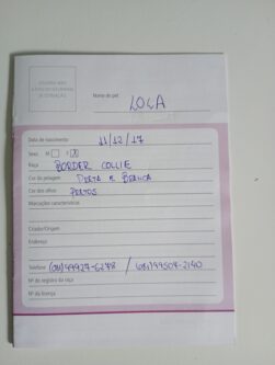 Lola