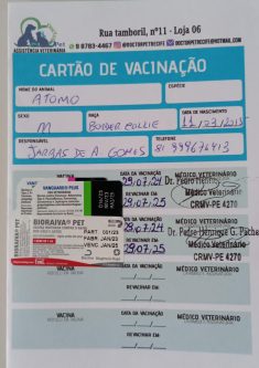 Átomo