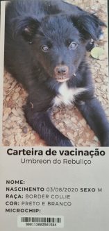 Nótt