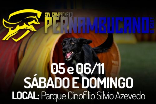 5ª e 6ª Etapas  do XIV Campeonato Pernambucano de Agility – 05 e 06/11/2022