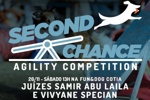 Second Chance Agility Competition – 26/11/2022