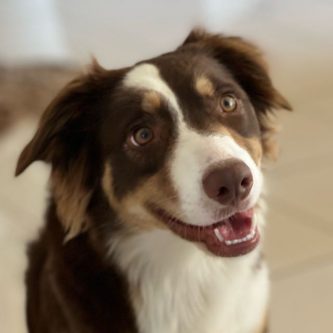 Skye