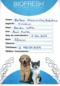 Blu Boo