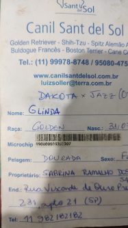 Glinda