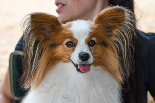 Zac